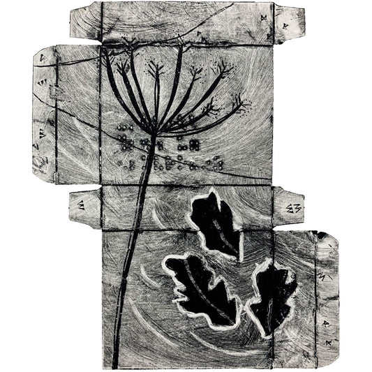 Tetra Printing Workshop