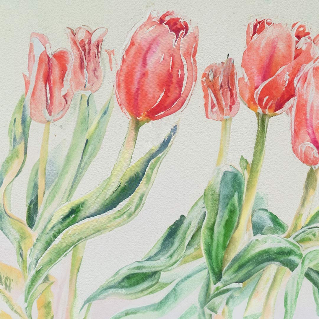 Watercolour Painting: 'Tulips', with Sandra Peck