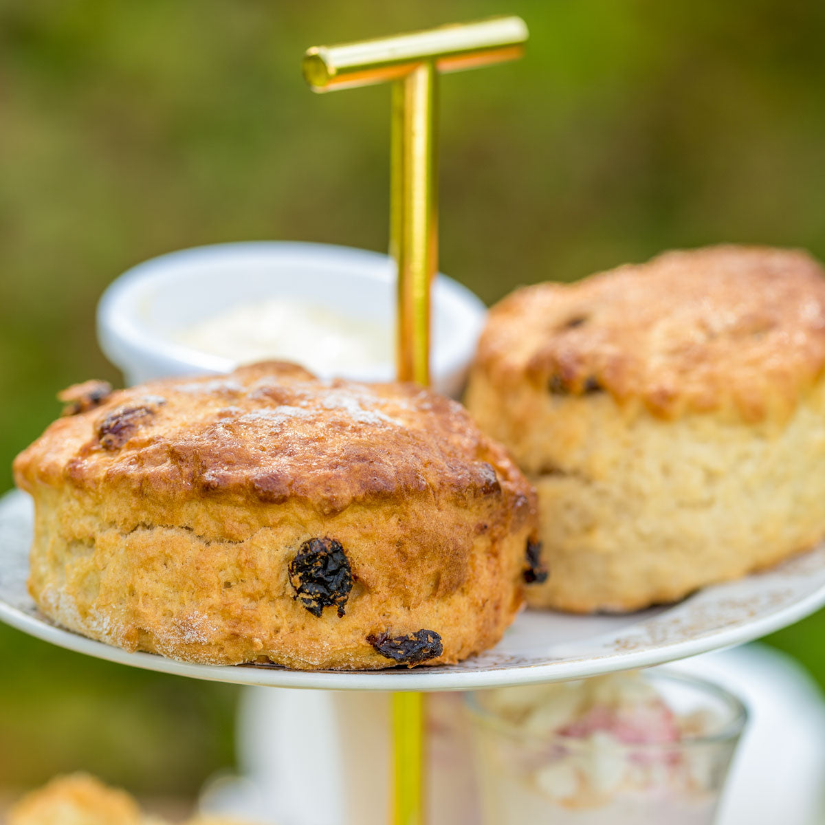 Barnsdale Afternoon Tea. Close up of two homemade scones with pot of clotted cream