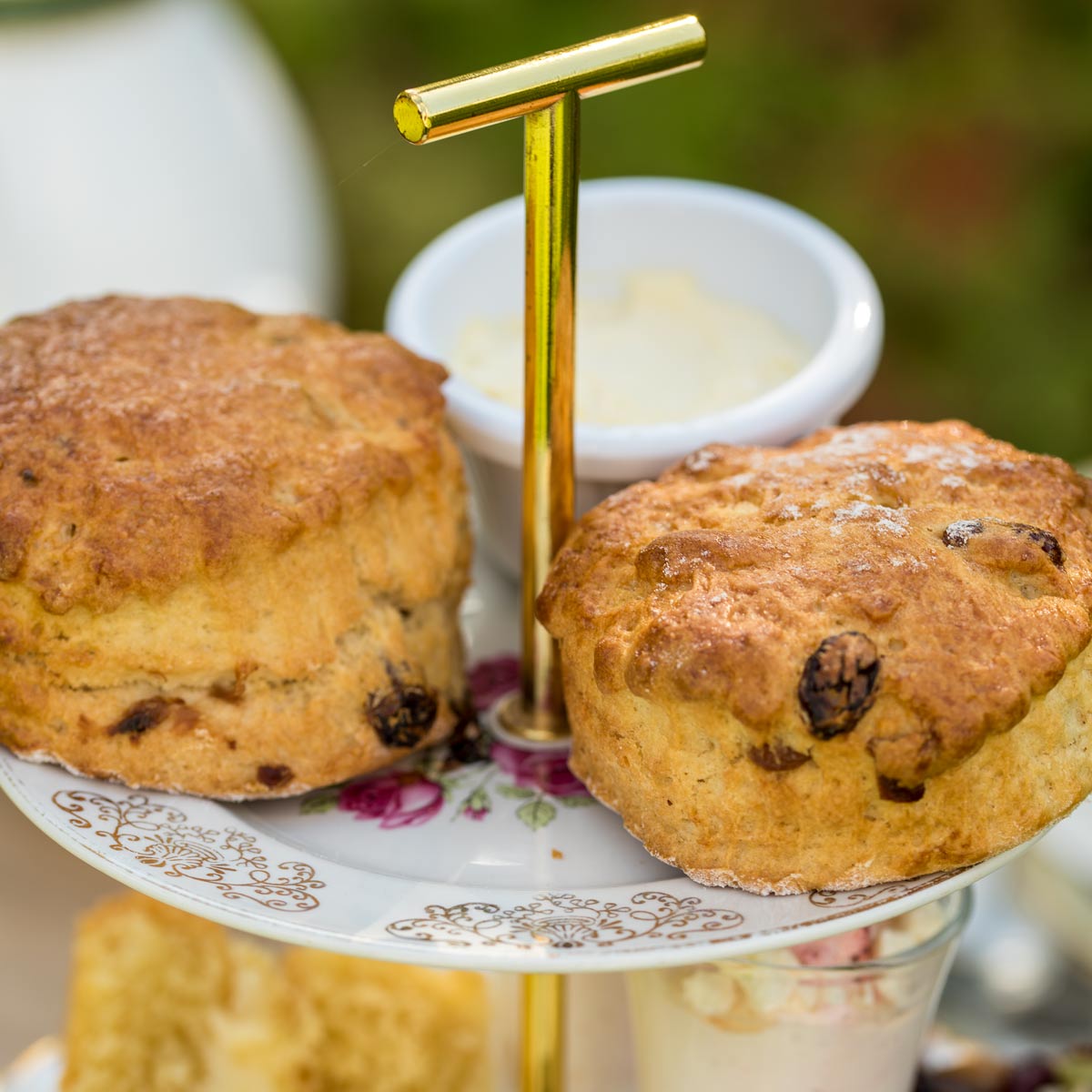 Barnsdale Afternoon Tea. Close up of two home made scones with pot of clotted cream