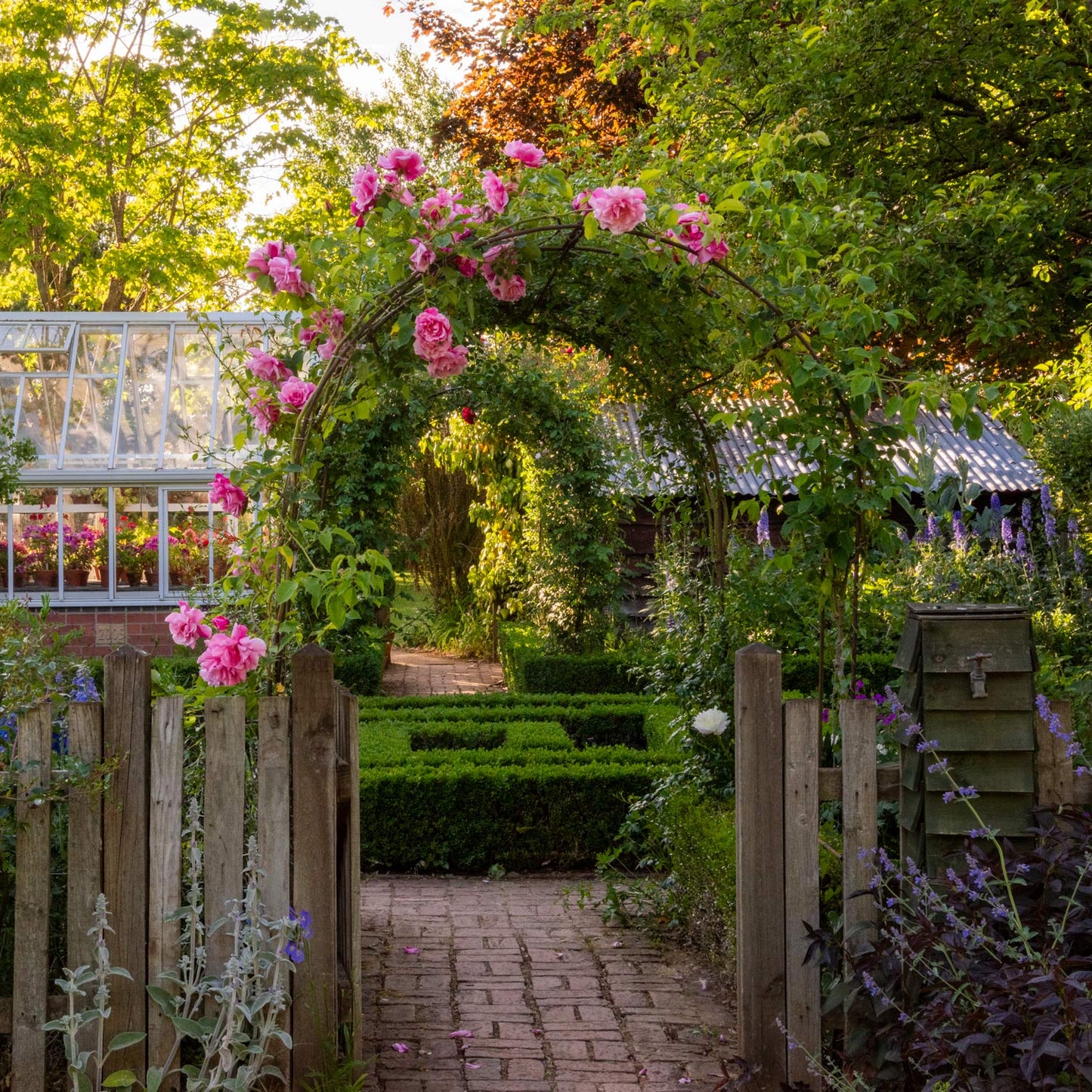 Barnsdale Gardens After Hours. 12th June, 2025.