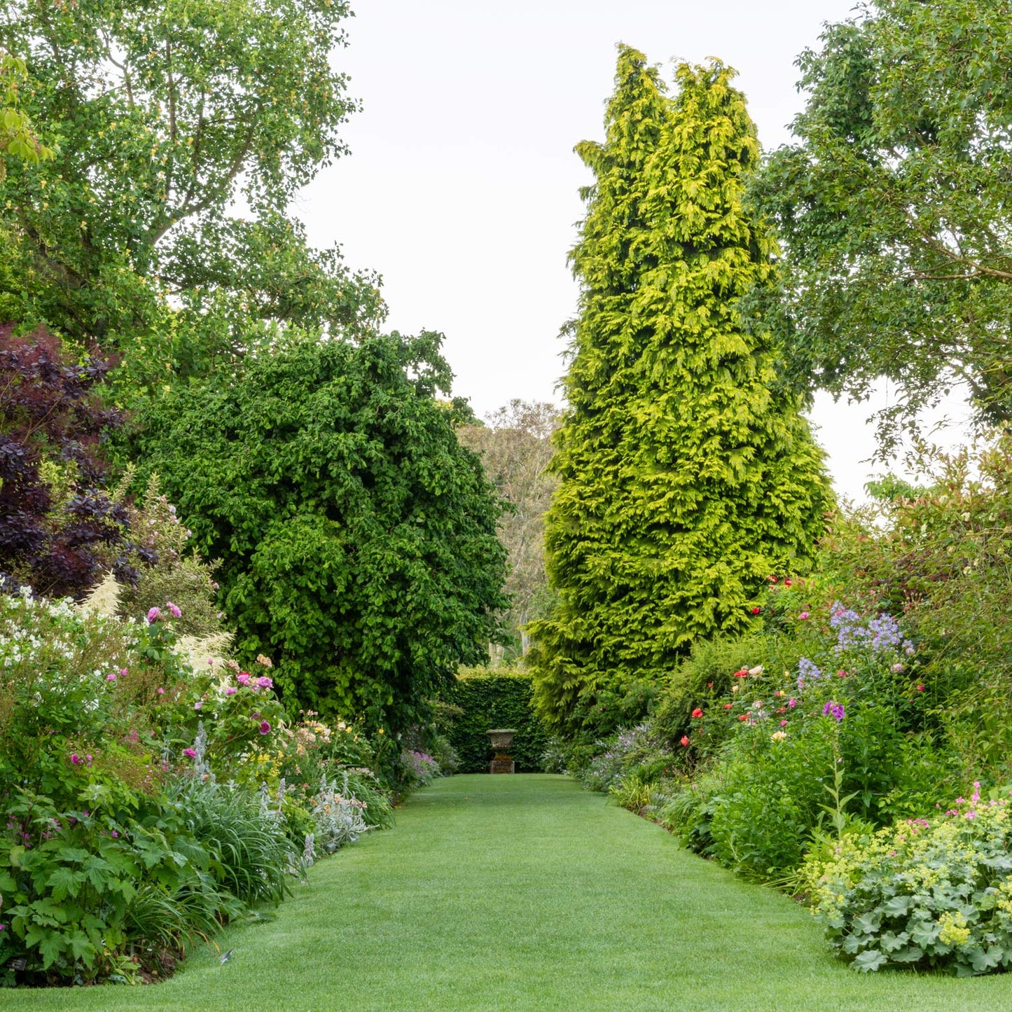 Barnsdale Gardens After Hours. 12th June, 2025.