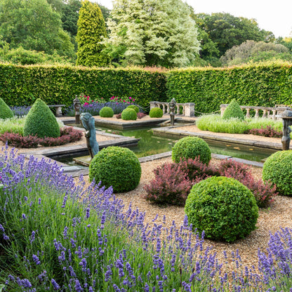 Barnsdale Gardens After Hours. 12th June, 2025.