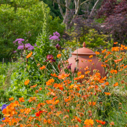 Barnsdale Gardens After Hours. 12th June, 2025.