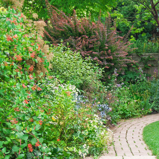 The New Garden: Where a Blank Canvas Comes to Life. Gardening course with Joe Whitehead.