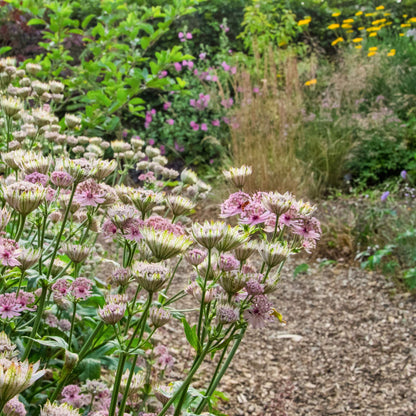 The New Garden: Where a Blank Canvas Comes to Life. Gardening course with Joe Whitehead.