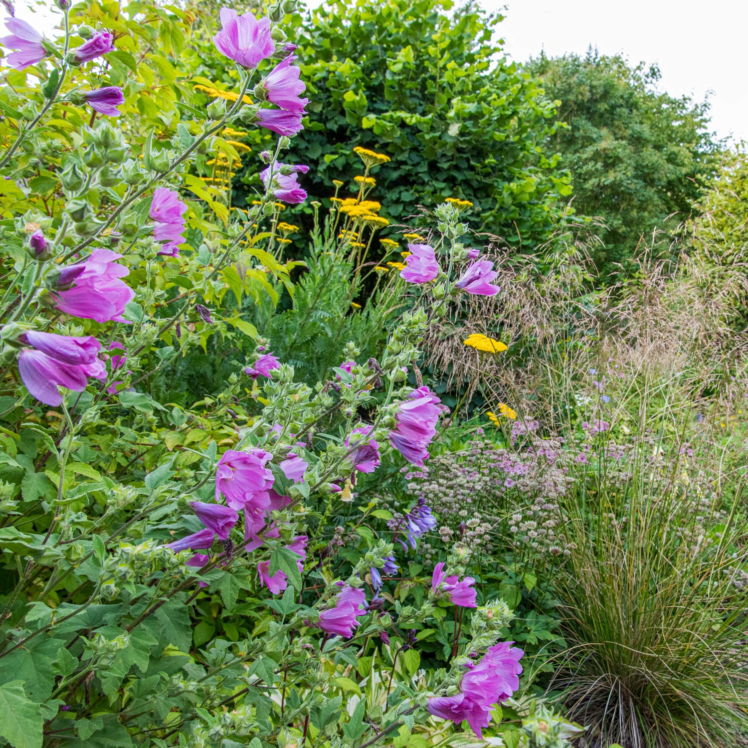 The New Garden: Where a Blank Canvas Comes to Life. Gardening course with Joe Whitehead.