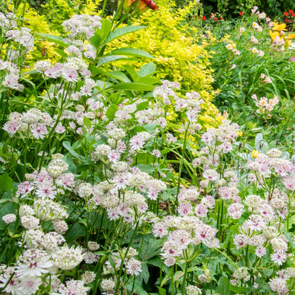 The New Garden: Where a Blank Canvas Comes to Life. Gardening course with Joe Whitehead.