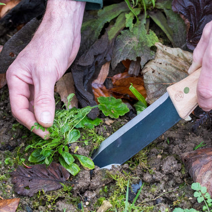 Hori Hori Japanese Weeding Trowel by Niwaki, digging up weeds.