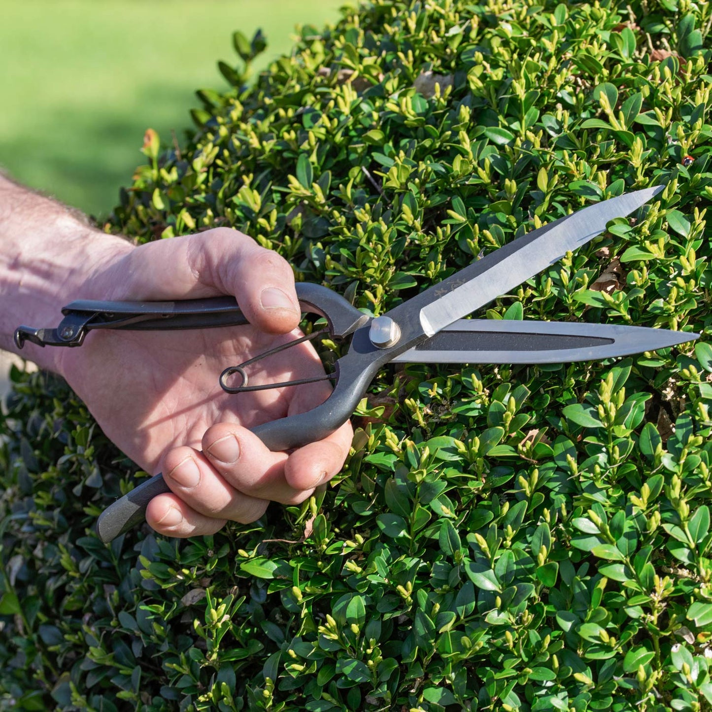 Niwaki Sentei Topiary Clippers