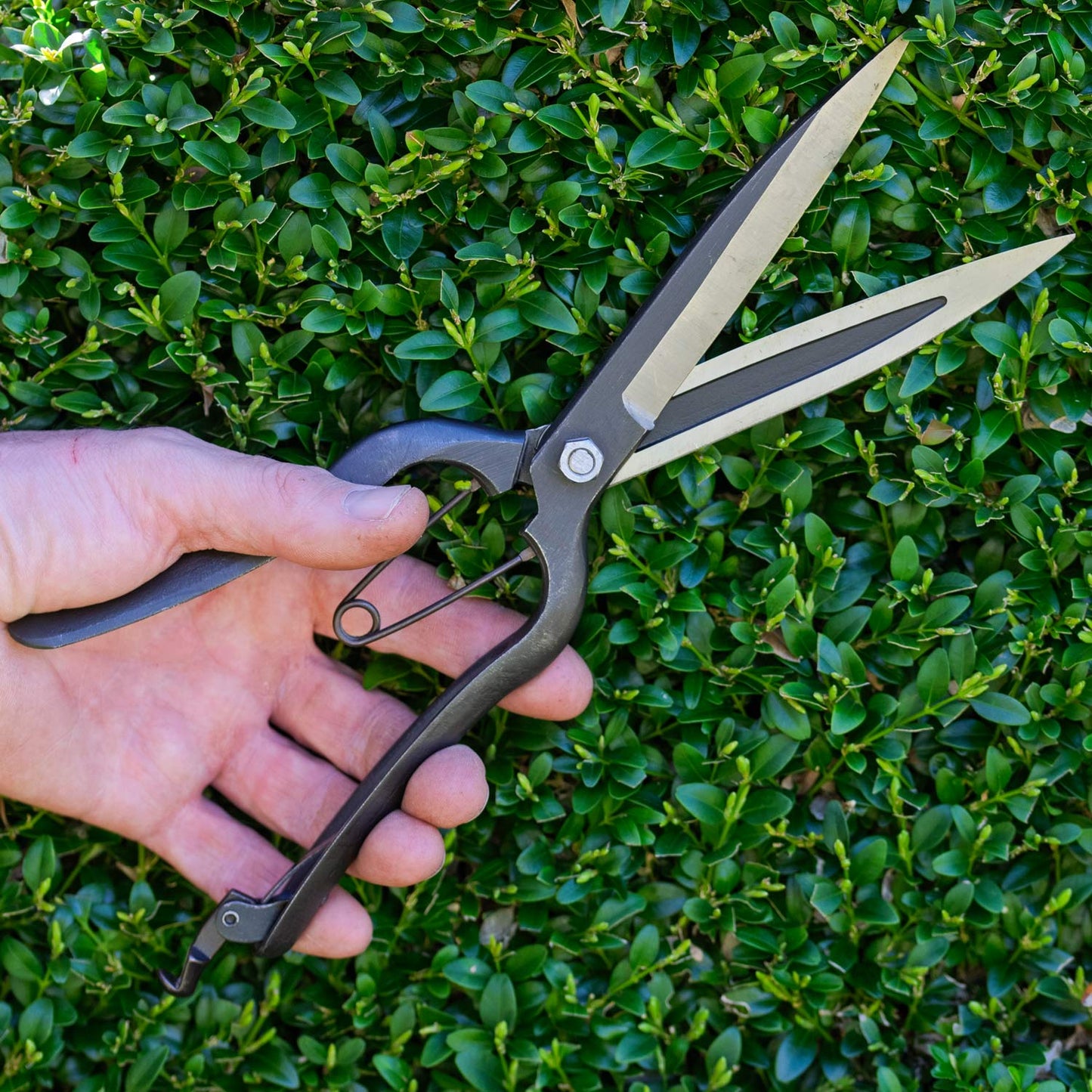 Niwaki Sentei Topiary Clippers