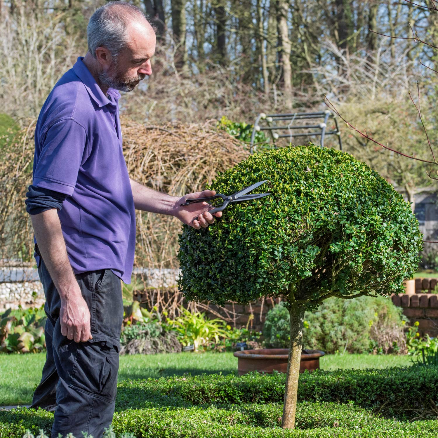 Jon Brocklebank trimming topiary at Barnsdale Gardens with Niwaki Sentei Topiary Clippers