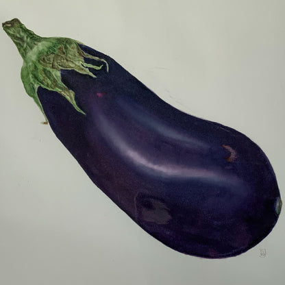 Botanical Painting Workshop: Veg From the Allotment. A painted aubergine illustration on a plain light background, with a dark purple body and green stem.