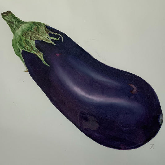 Botanical Painting Workshop: Veg From the Allotment. A painted aubergine illustration on a plain light background, with a dark purple body and green stem.