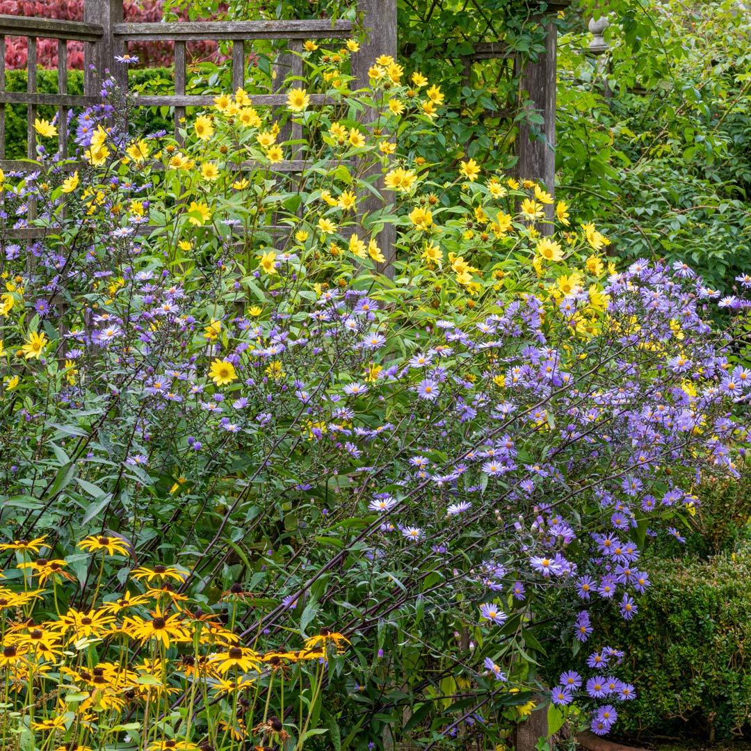 Herbaceous perennial border in the Gentleman's Cottage Garden at Barnsdale Gardens.  Autumn at Barnsdale: Breakfast and Guided Walk.