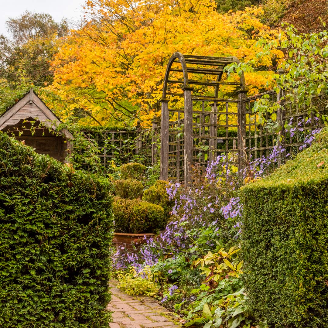 Autumn at Barnsdale: Breakfast and Guided Walk. Gentleman's Cottage Garden at Barnsdale Gardens.