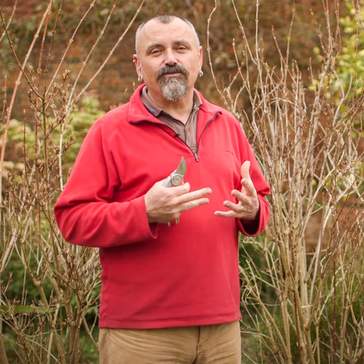 Pruning Fruit, with David Hurrion. 18th November. Morning.