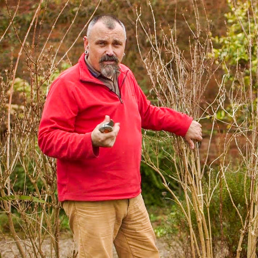 Pruning Fruit, with David Hurrion. 18th November. Afternoon.