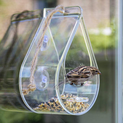 Dewdrop Window Bird Feeder, with a bird sitting in the entrace opening.