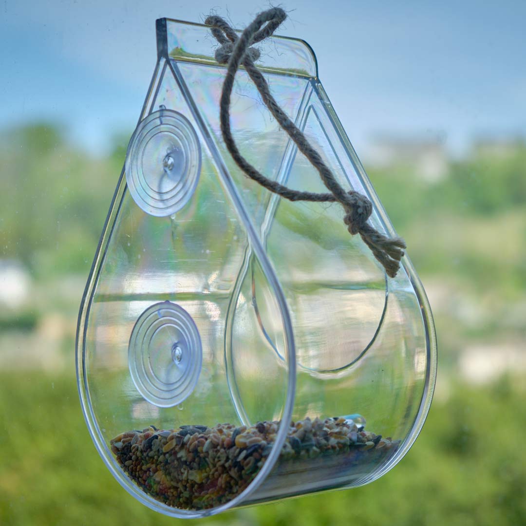 Dewdrop Window Bird Feeder, fixed to window, with bird seed inside. As seen from inside the house.