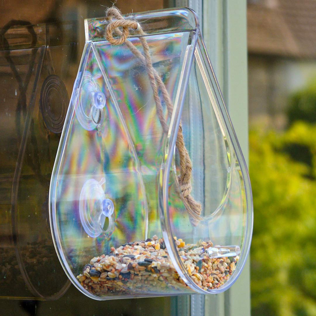 Dewdrop Window Bird Feeder, fixed to window, with bird seed inside.