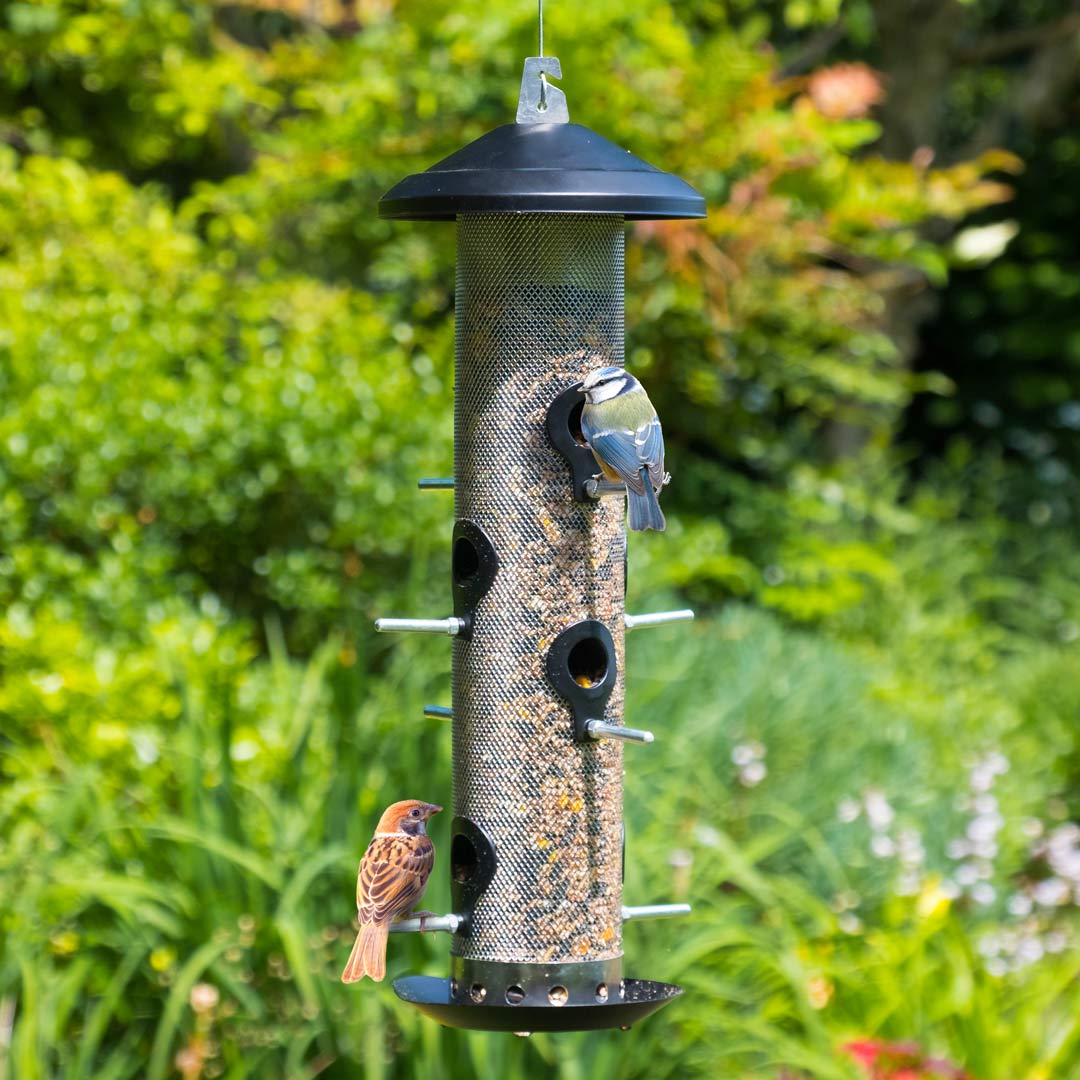 Giant Seed Bird Feeder, with birds feeding