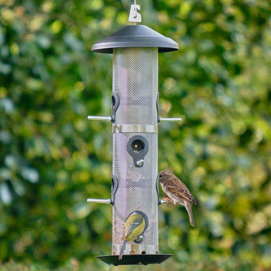 Bird feeder, with birds feeding