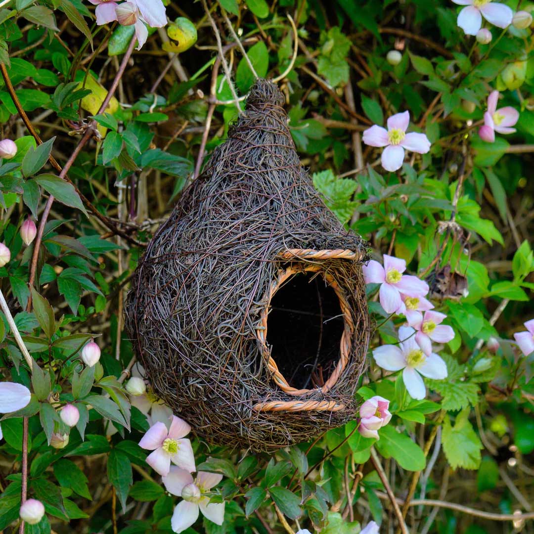 Giant Roost Nest Pocket. Bird box.