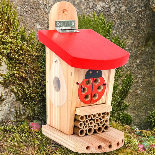Ladybird & Insect Lodge for beneficial insects in the garden