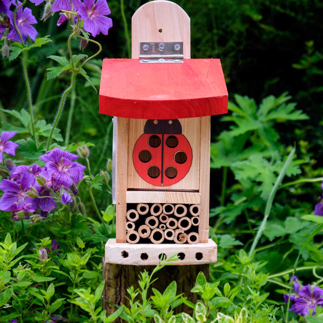 Ladybird & Insect Lodge for beneficial insects in the garden. front on view.