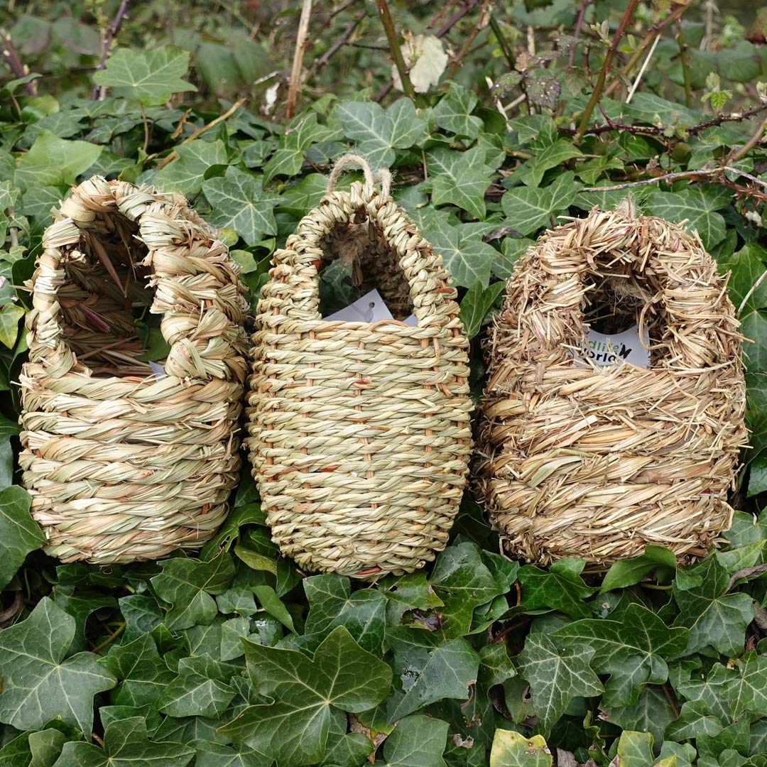 Three various Oval Nest Pockets, against an ivy-covered wall.