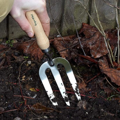 Stainless steel gardening hand fork, with wooden handle, from Burgon & Ball, being used in the garden.