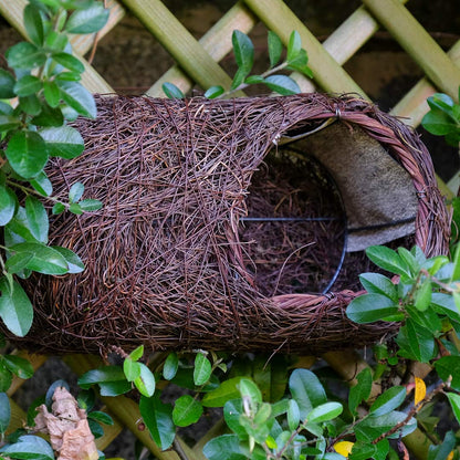 Brushwood Robin Nester attached to trellis