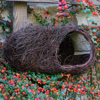 Brushwood Robin Nest box, attached to trellis.