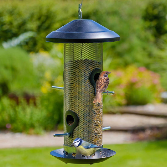 Seed Bird Feeder with two birds on the bird feeder.