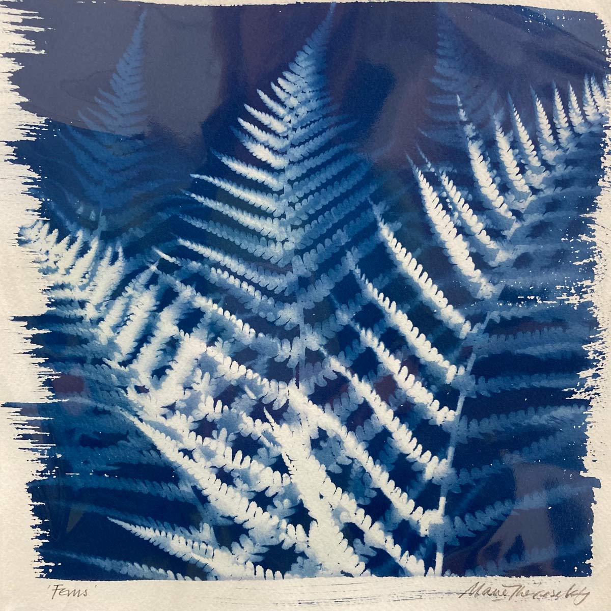 Cyanotype Workshop. 23rd June, 2024.