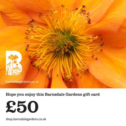 Digital Gift Card from Barnsdale Gardens