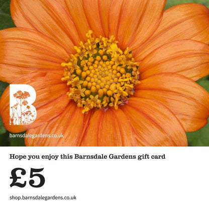 Digital Gift Card from Barnsdale Gardens