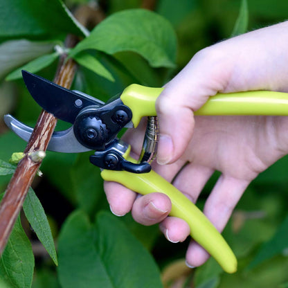 Micro Secateurs - RHS endorsed. Green handles, pruning.