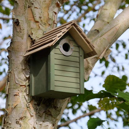 New England nesting box in green, fixed to a tree.