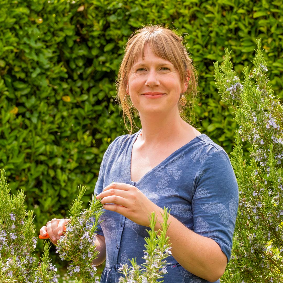 Herbology Your Garden, the Medicine 30th September