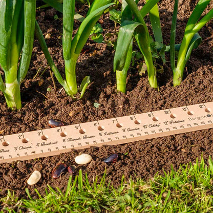 Planting Ruler. 32 cm (12 inches) long