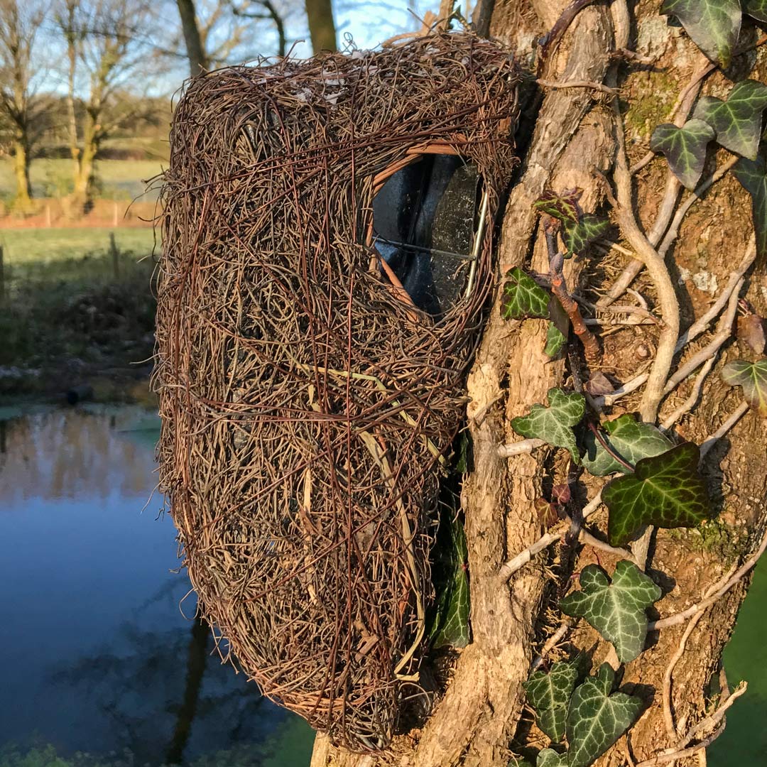 Brushwood Tree Nest Box
