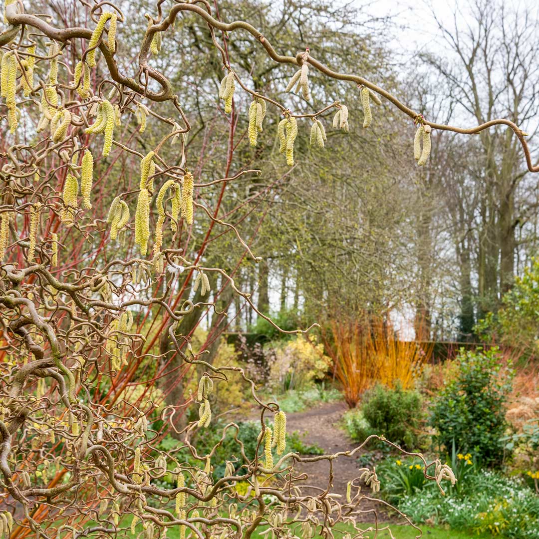 Spring at Barnsdale: Breakfast and Guided Walk. 16th April, 2024